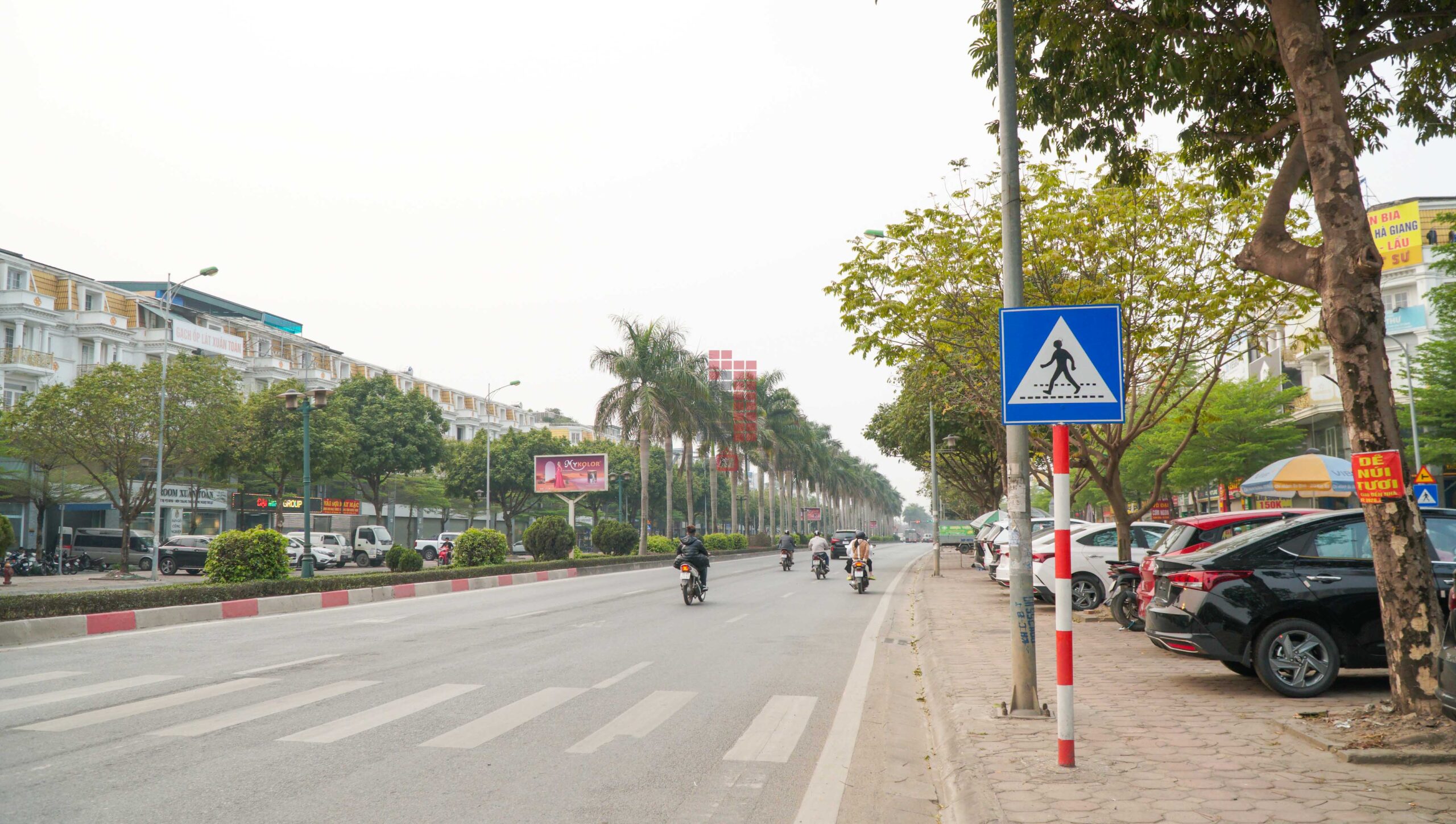 MP LÊ TRỌNG TẤN