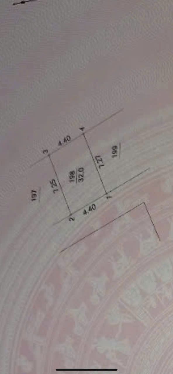 z6565813248664_3e9dc0f3bbe874e19b87f6f42f106711