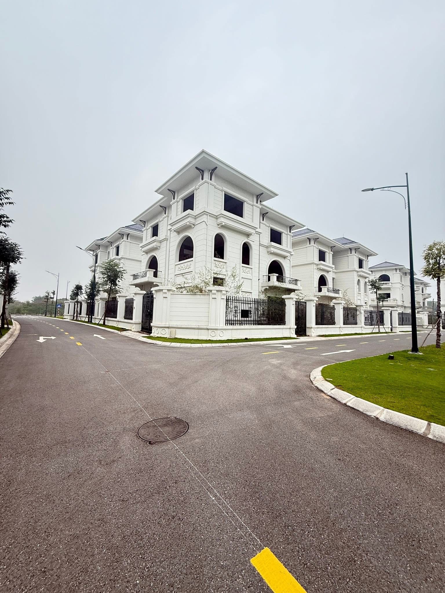 biet-thu-don-lap-300m2-vuon-cam-vinapol3